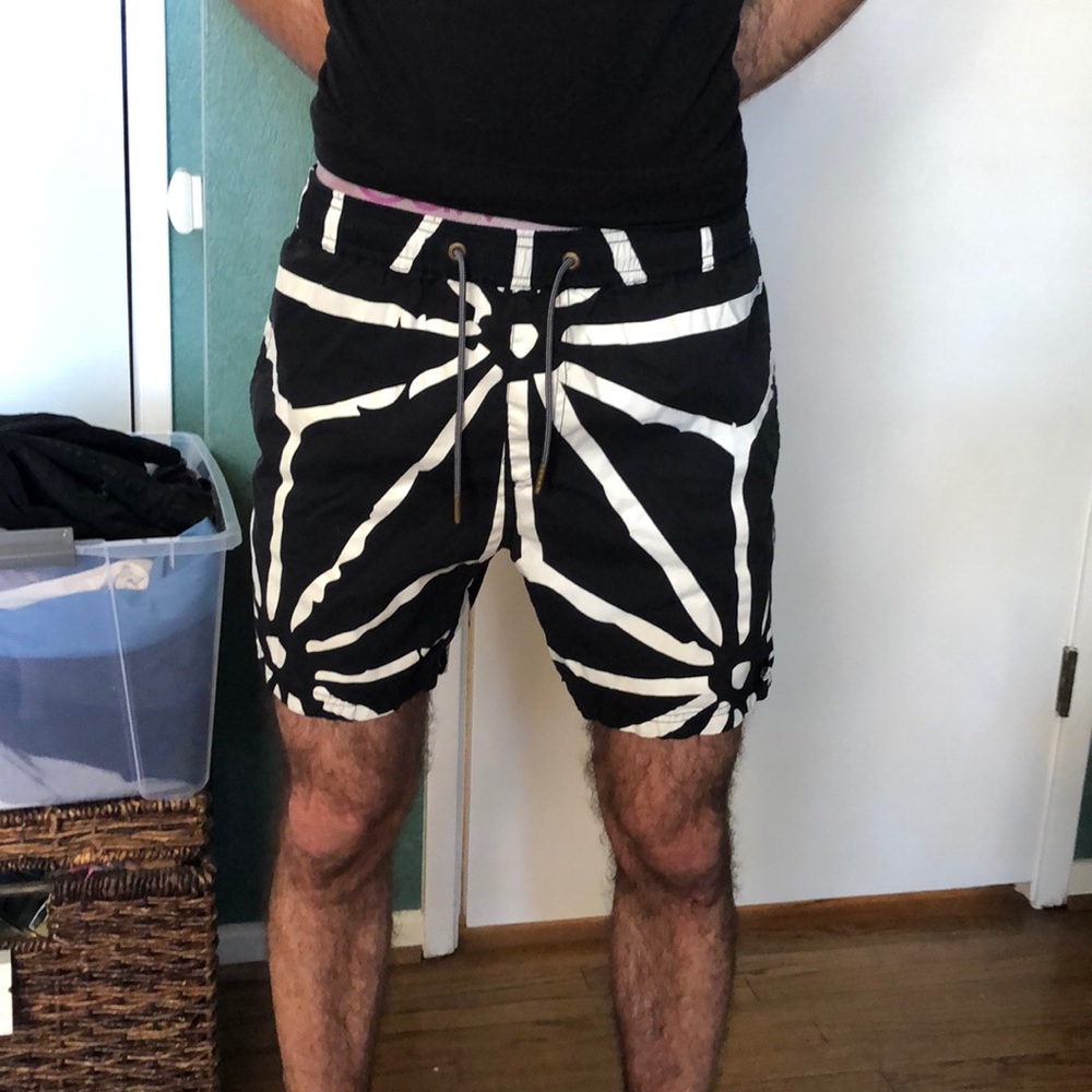 Zanerobe swim trunk